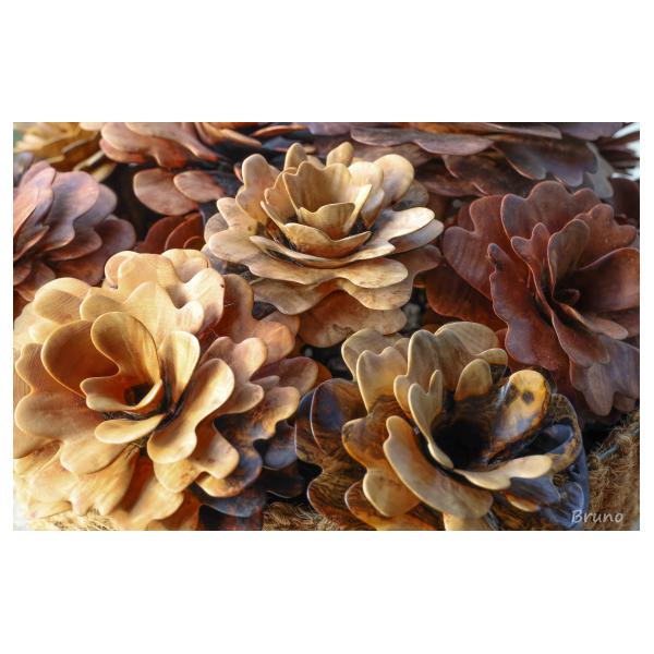 PHOTO84, CLUB, 84 , LUBERON